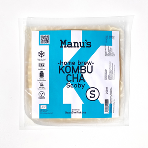 Kombucha Scoby mit Starterflüssigkeit Berlin Special