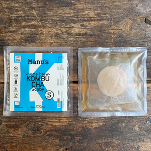 Kombucha Scoby mit Starterflüssigkeit Berlin Special