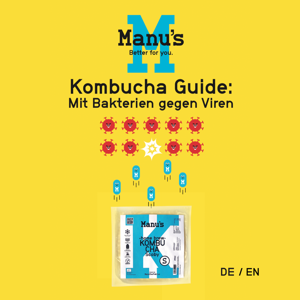 Kombucha Scoby Starter Set Berlin Special