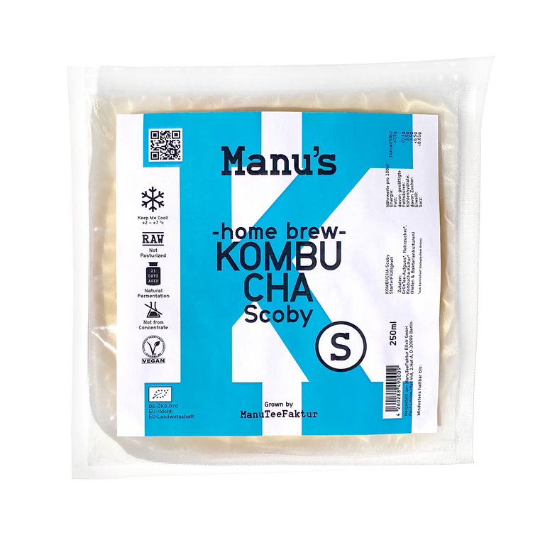 Kombucha Scoby