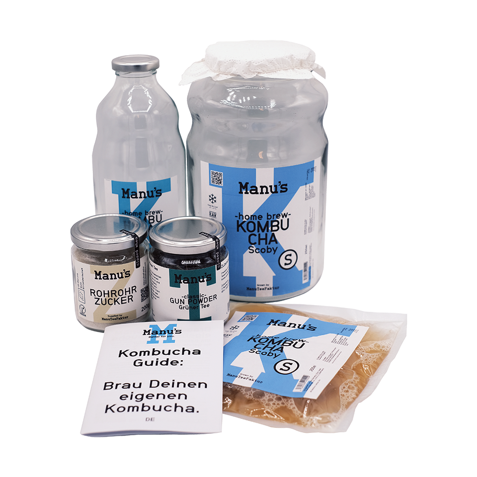 Kombucha Scoby Starter Set