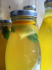 ManuTeeFaktur-Tuarg_Mint_Tea_0007
