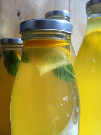 ManuTeeFaktur-Tuarg_Mint_Tea_0007
