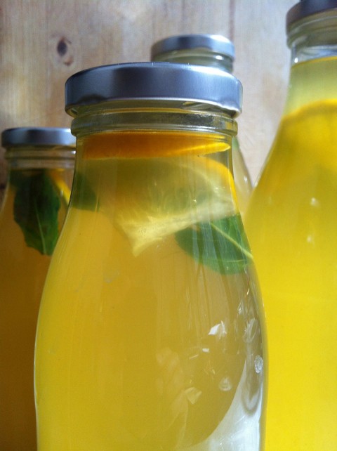 ManuTeeFaktur-Tuarg_Mint_Tea_0007