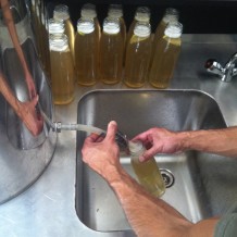 ManuTeeFaktur-hand-bottling_001