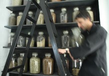 ManuTeeFaktur-tea_brewing_001