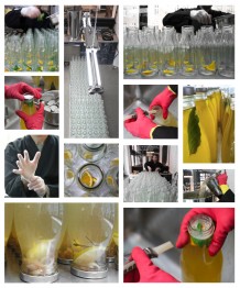 ManuTeeFaktur_Bottling_Filling_Truly_Handmade_001