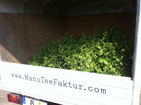 ManuTeeFaktur-manufacture_drink-global_grow-local_008