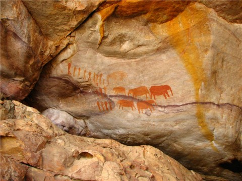 ManuTee-Faktur-Rooibosh_Cederberg-South_Africa-002
