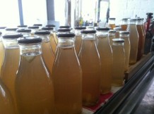 ManuTeeFaktur_ManuTeaFacture-LemongrassTea002
