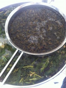 ManuTeeFaktur_ManuTeaFacture_Tuareg-Mint-Tea_separately-but-together-001